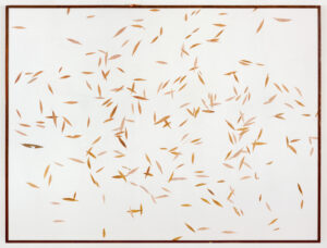 herman de vries, Salix I und Salix II (zweiteilige Arbeit), 1986, Weidenblätter auf Papier und Holz, je 135 x 180 cmFoto: Galerie Megert, Bern